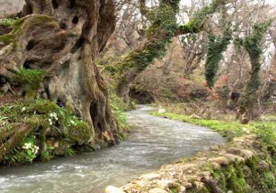 روستای سنگده