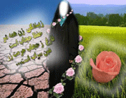 حیا، حجاب