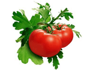میوه های حقیقی