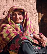 سالمند