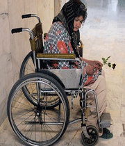 سالمند