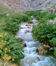 آلودگی آب - جلسه هفتم