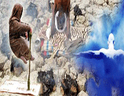 تمرکز