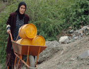 سرنوشت خرده ستمگران