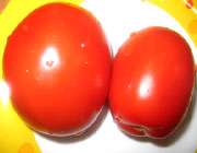 تهیه ماکارونی