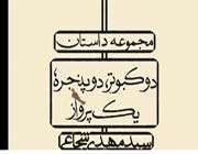 کبوتر، دو پنجره، یک پرواز