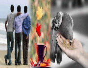 دوستی
