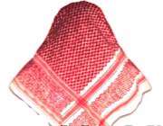 وهابی ها