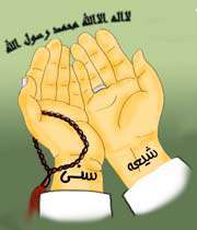 وحدت، شیعه و سنی