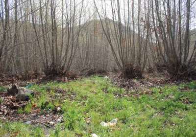روستای سربرج