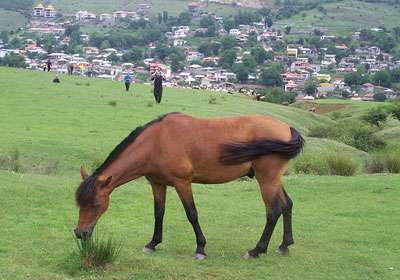 چلاو