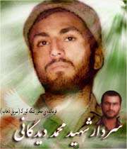 سردار شهید «محمد دیدگانی»