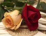 ازدواج