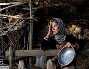 گرای صفر درجه