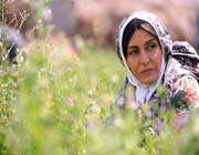 پرداختن به سینمای جنگ نیازمند درک عمیقی است