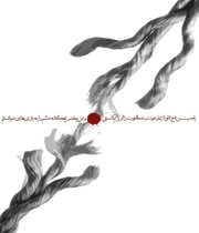 دلبستگی