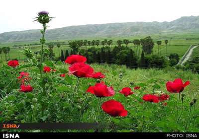 باغ چشمه بلقیس