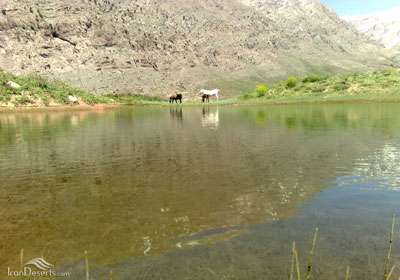 دریاچه کوه گل