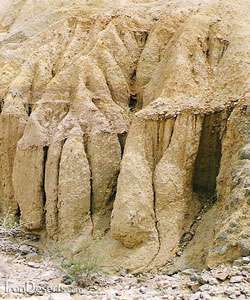 پدیده گِلافشان