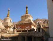 شیعهای از سرزمینی بودایی
