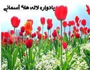 این یادواره نقشه راه است
