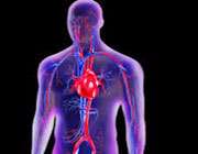 زخمی دل کو سیکنڈوں میں جوڑنے والی گوند