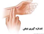 اندازه گیری ضربان قلب