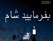 بفرمایید شام، زن محجبه
