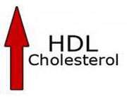 hdl