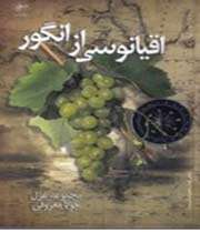 «اقیانوسی از انگور»