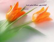 گشاده رویی
