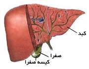 برگشت صفرا
