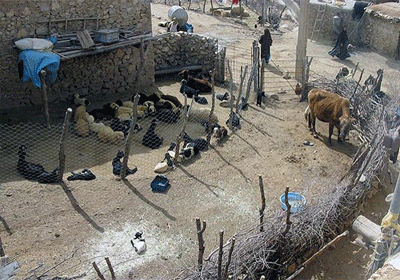 روستای زیزی