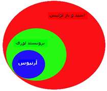 مدل لوویس
