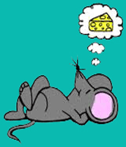موش