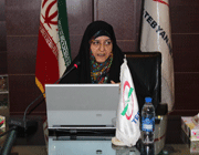 گزارش دومین نشست واسطین ازدواج همسان گزینی تبیان