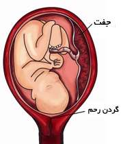 بارداری