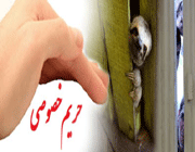 تجسس