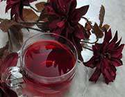 مصاحبه با دانش آموزان دبیرستان سرای دانش فلسطین، رز چینی