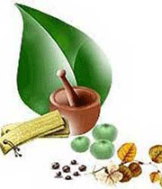 ایده های برگزیده زیست شناسی هشتمین دوره ی پروژه های دانش آموزی تبیان