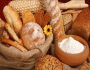 ایده های برگزیده زیست شناسی هشتمین دوره ی پروژه های دانش آموزی تبیان