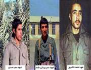 شهید کاوه