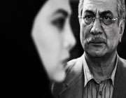 انقلاب زیبا