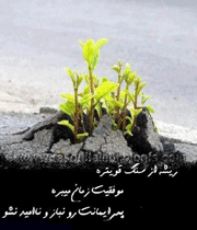 صبر