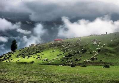 سوادکوه