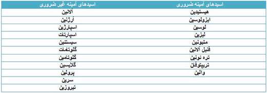 سنتز آمینو اسیدها