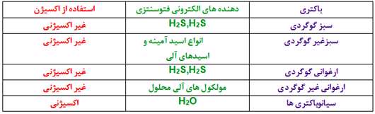 فتوسنتز