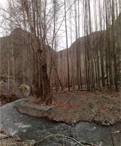 گلمکان