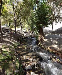 گلمکان
