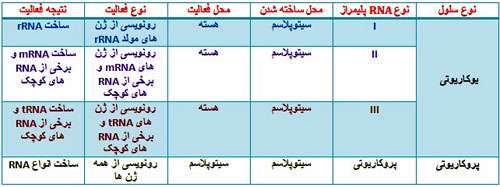 رونویسی در یوکاریوت ها(1)